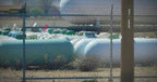 One Gallon 98 Natural Gas Price ( $3.95 USD )