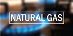 One 25 Lb Cylinder Natural Cooking Gas Price ( $35.95 USD )