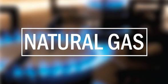 One 25 Lb Cylinder Natural Cooking Gas Price ( $35.95 USD )